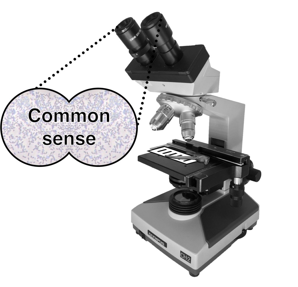 Modified from:
Sarah Greenwood (https://commons.wikimedia.org/wiki/File:Compound_Microscope.png)
https://commons.wikimedia.org/wiki/File:Анаэробные_бактерии.jpg