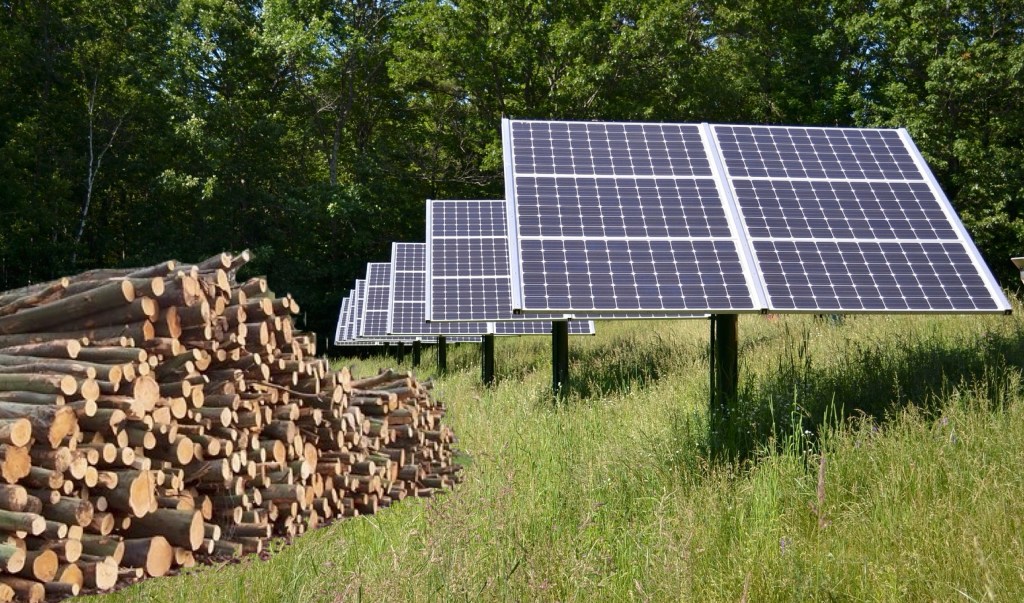 Modified from originals by zak zak (https://www.flickr.com/photos/151836356@N08/35421055365) and David Anstiss (https://commons.wikimedia.org/wiki/File:Wood_Pile_in_Sharsted_Plantation_-_geograph.org.uk_-_1223287.jpg) without any implication of their agreement of the meaning of the combined image.