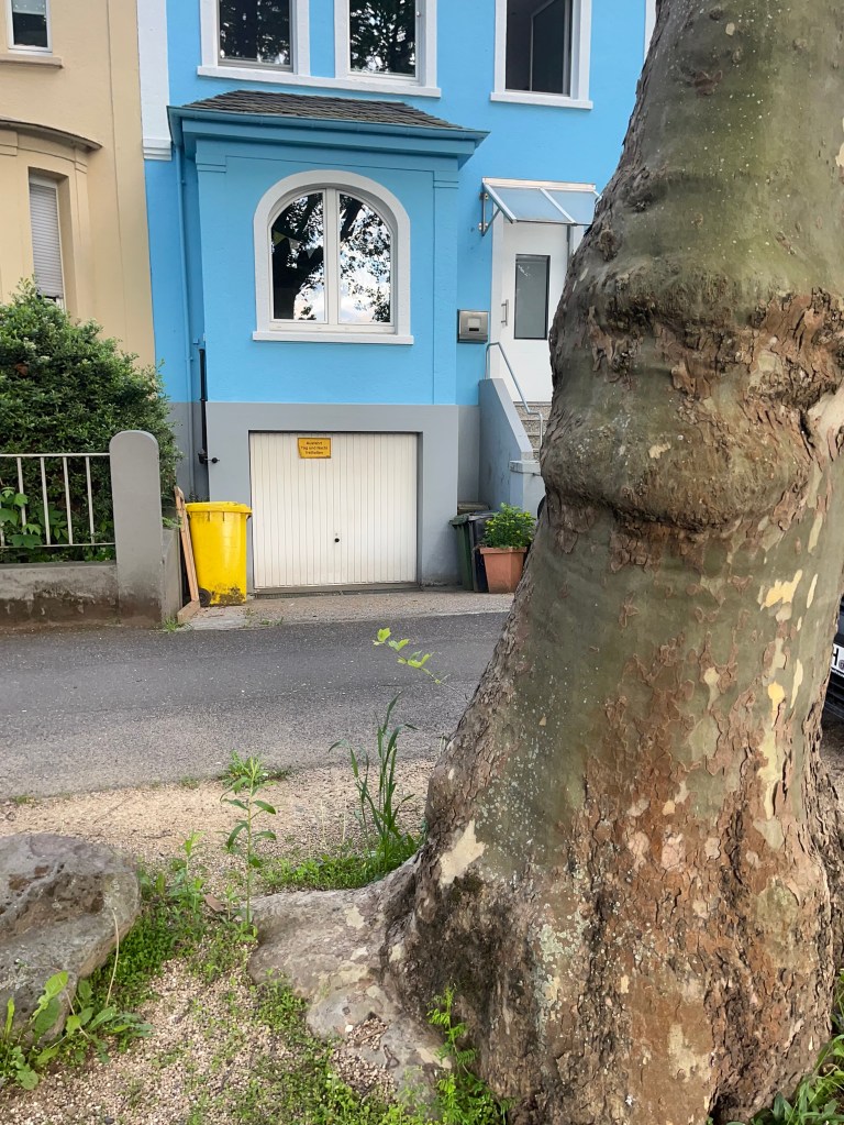 By fogBlogger. In the public domain.