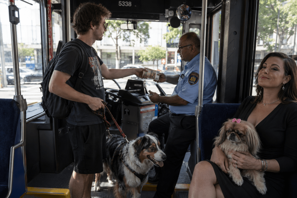 Created using ChatGPT with the prompt "I need a photorealistic image of a person boarding a bus and paying their fare to the bus driver. The person should be holding a large roll of 50 Euro notes in one hand to pay the fare. In the other hand, they should be holding a leash leading to a medium sized Australian Shepherd dog. A smug-looking passenger should be seated nearby. This passenger should have a toy Pekinese dog sitting in their lap. The Pekinese dog should have a pink ribbon on the top of its head." (Please don't ask me where the door is or how the bus driver can possibly drive the bus.) In the public domain.